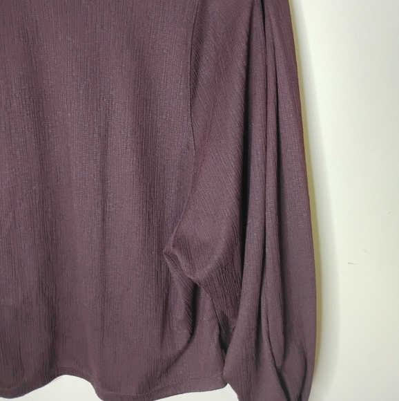 NWT Banana Republic Factory Dolman Sleeve V-Neck Textured Knit Top Size M Plum - Picture 6 of 9